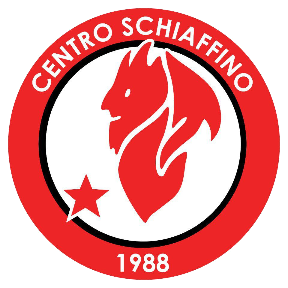CENTRO SCHIAFFINO 1988